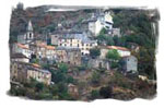 Prunelli di casacconi
